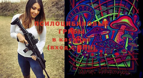 2c-b Верхний Тагил