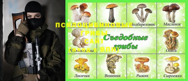 2c-b Верхний Тагил