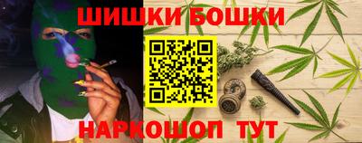 молекула духа Будённовск