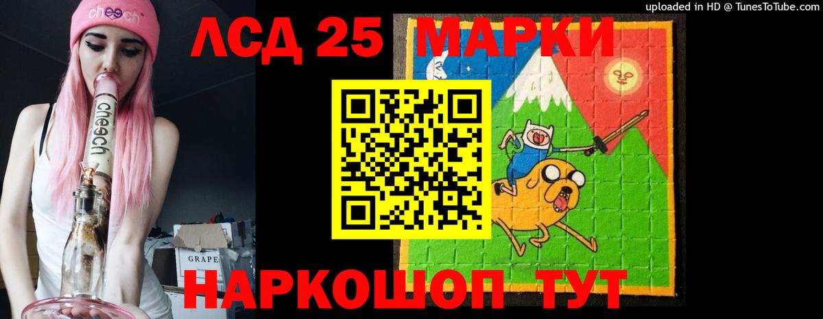 Галлюциногенные грибы Губкин