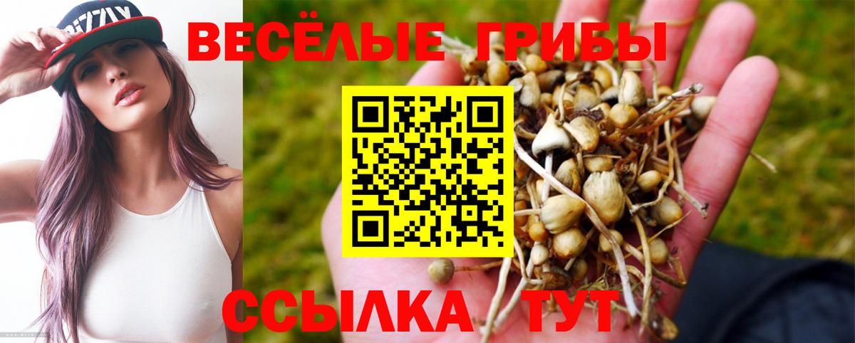 Псилоцибиновые грибы Magic Shrooms Губкин