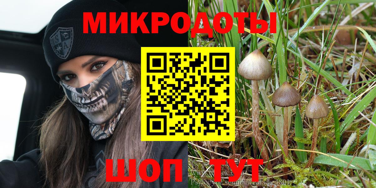 Псилоцибиновые грибы Magic Shrooms  купить наркоту  Губкин  Вход с VPN 