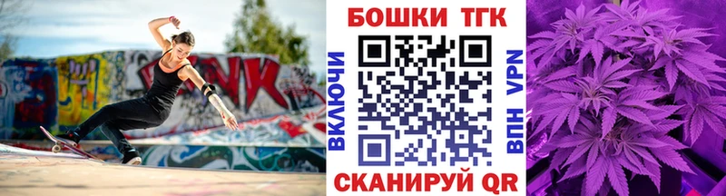 купить наркоту  MEGA ССЫЛКА  Каннабис семена  Губкин 