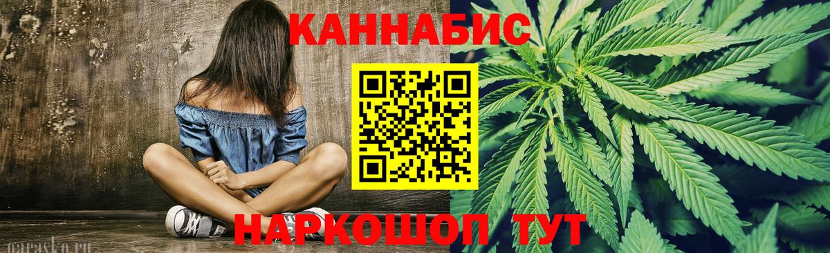 Конопля гибрид  Губкин  Канабис Ganja  Шишки марихуана гибрид 